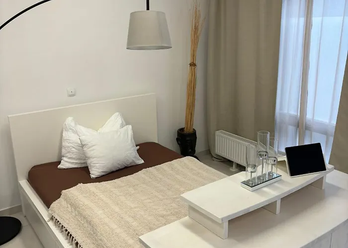 Apartment Stadtsuite Mit Sauna In 135 M2 Wiener Neustadt